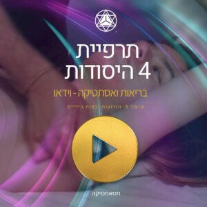 Metamatica Aesthetics שיעור וידאו 5: זרועות וכפות ידיים